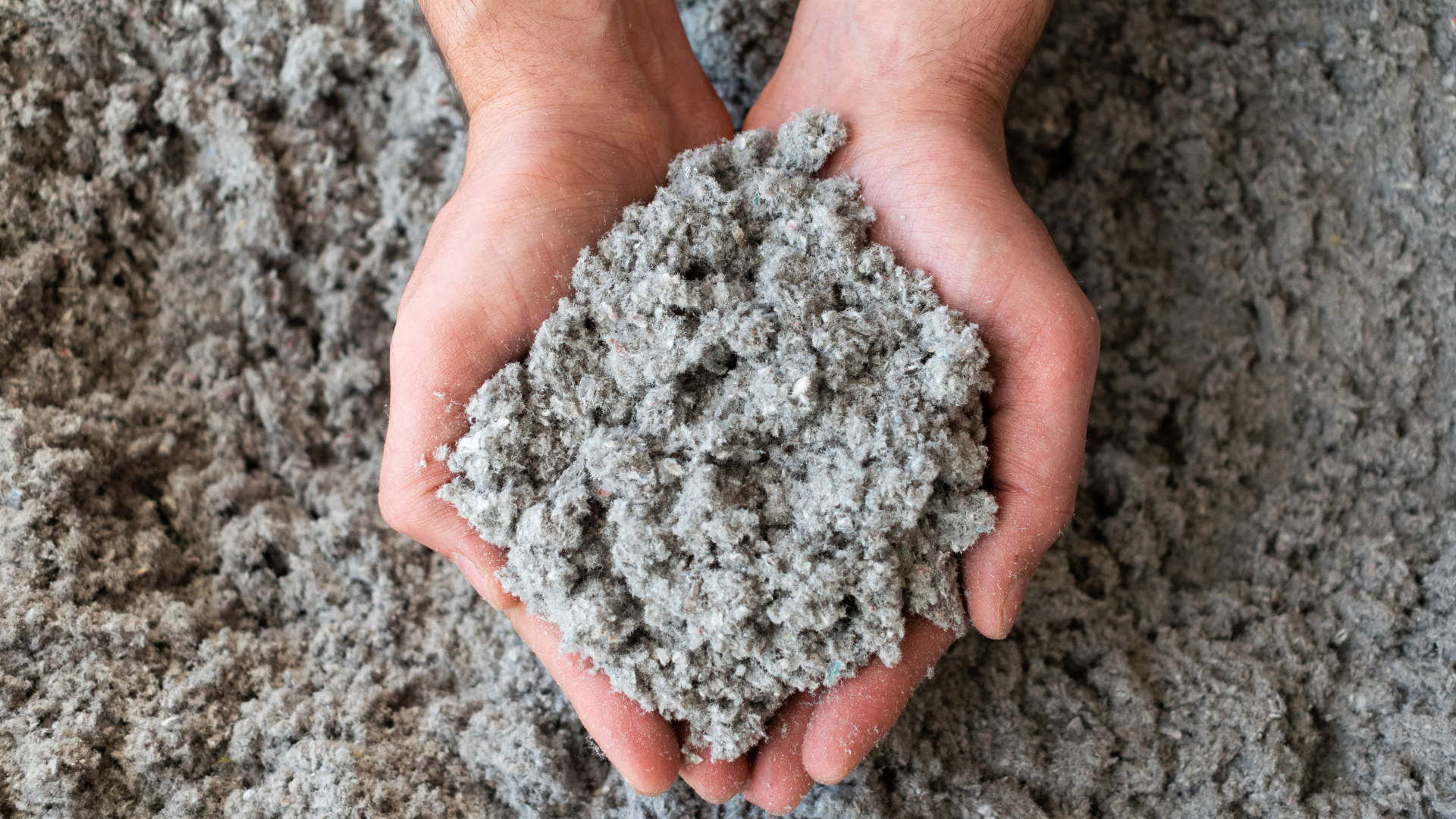 Isolation biosourcée : quels matériaux écologiques choisir pour rénover son logement ?